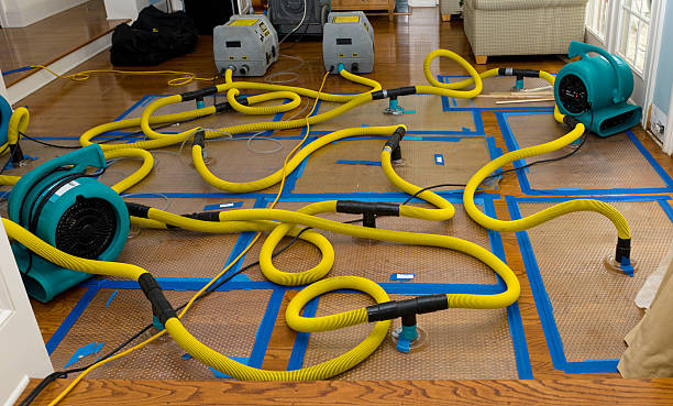 Professional Flood Damage Restoration technician working in Topock, AZ